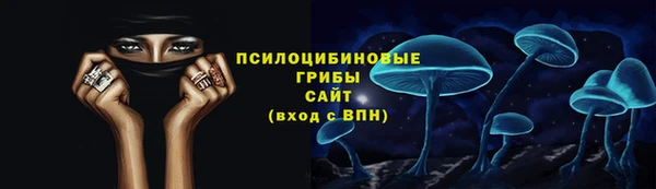 стаф Бердск
