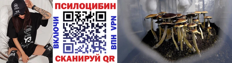 Псилоцибиновые грибы мицелий  Курган 