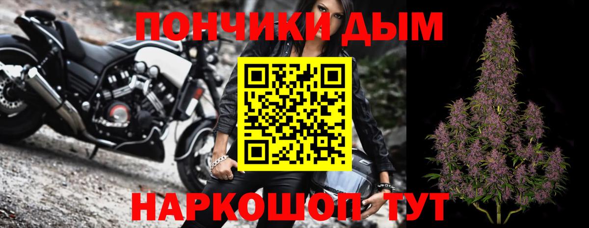 Каннабис сатива Курган