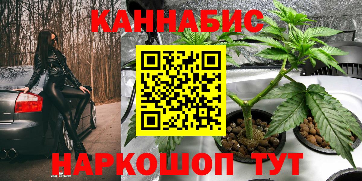 Марихуана ГИДРОПОН  Курган  Бошки марихуана Amnesia  Каннабис LSD WEED 